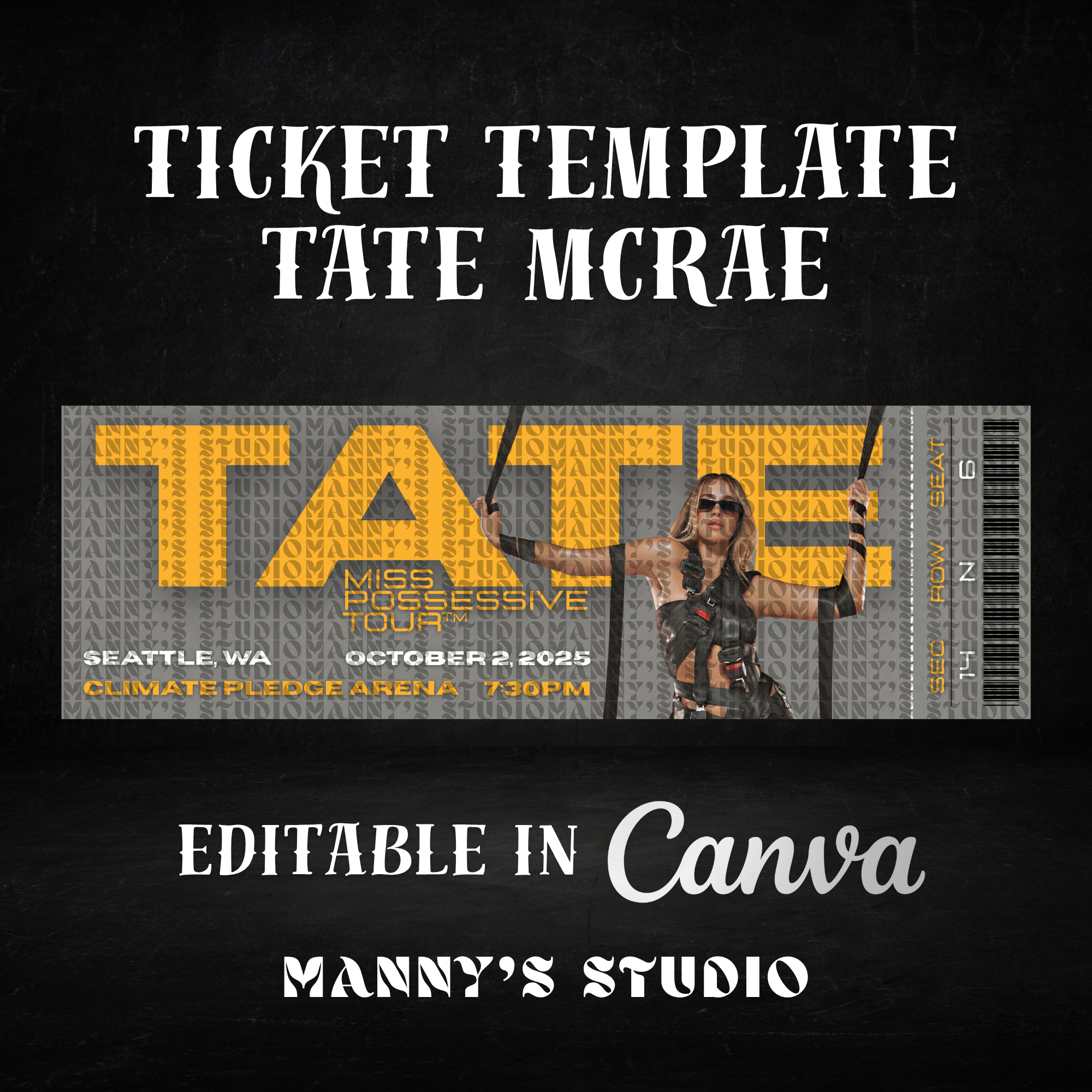 Customizable Ticket Template